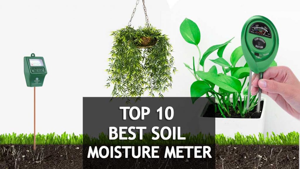 🥇🌱10 Best Soil Moisture Meters For Plants 2024 (Buyer's Guide)