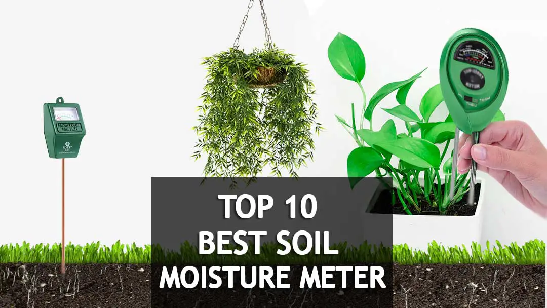 best soil moisture meter for plants
