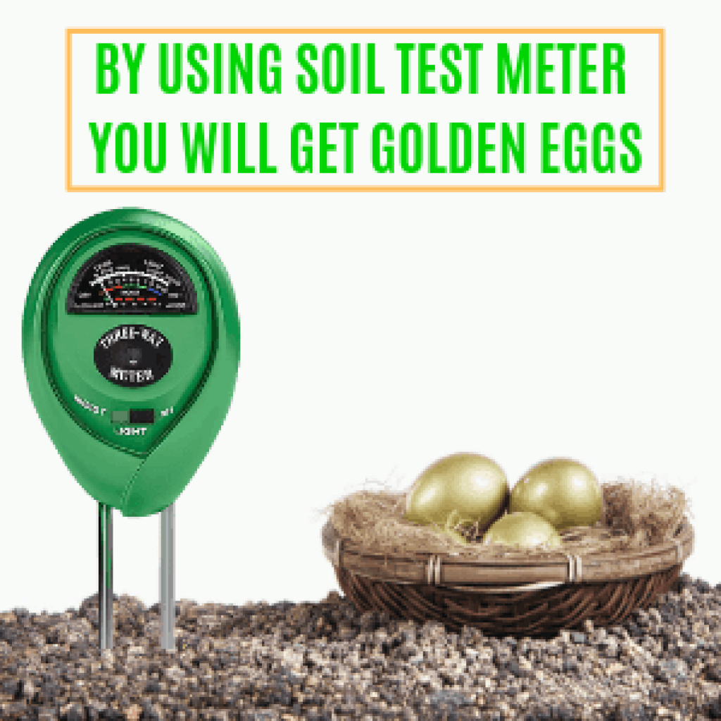 🥇🌱10 Best Soil Moisture Meters For Plants 2024 (Buyer's Guide)