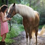 8 Ways To Quickly Minimize Your Steed's Stress and anxiety