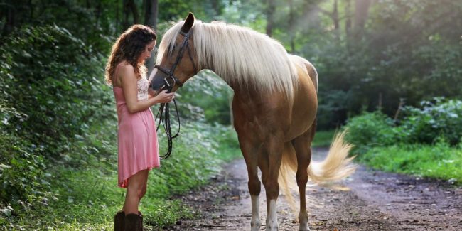 8 Ways To Quickly Minimize Your Steed’s Stress and anxiety