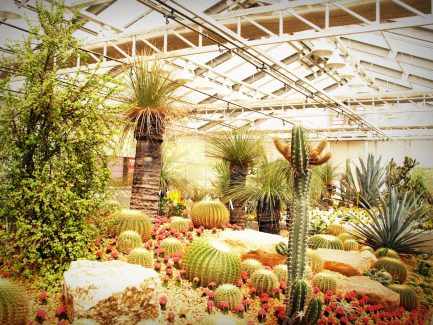 How to Hang Grow Lights From Ceiling