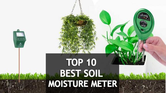 🥇🌱10 Best Soil Moisture Meters For Plants 2023 (Buyer’s Guide)